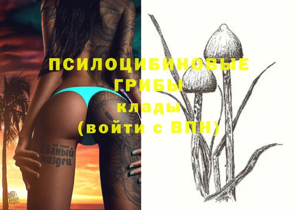 дурь Кинешма